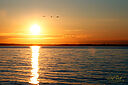 IMG_2949_800x1200_web.jpg