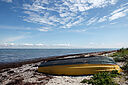 IMG_2813_800x1200_web.jpg