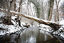 IMG_0111_800x1200_web.jpg