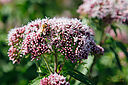 IMG_3027_800x1200_web.jpg
