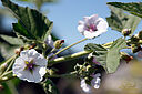 IMG_3030_800x1200_web.jpg