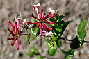 IMG_3044_800x1200_web.jpg