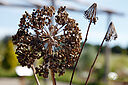 IMG_3057_800x1200_web.jpg