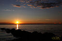 IMG_2958_800x1200_web.jpg