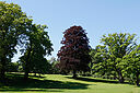 IMG_0082_800x1200_web.jpg