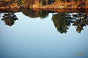 IMG_7379_800x1200_web.jpg