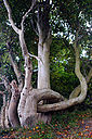 IMG_0398_800x1200_web.jpg