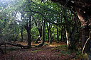 IMG_0405_800x1200_web.jpg
