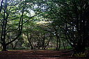 IMG_0409_800x1200_web.jpg