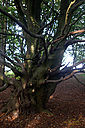 IMG_0411_800x1200_web.jpg