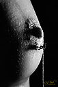 IMG_0434_1280x1920_web.jpg