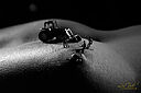 IMG_0004_1280x1920_web.jpg